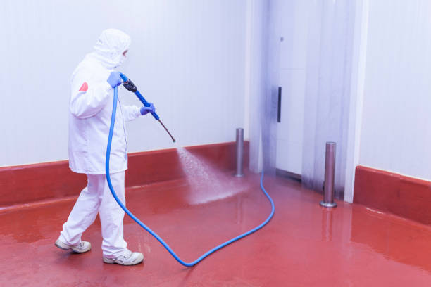 Best Building Exterior Washing  in Melissa, TX
