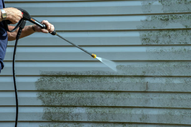 Animal Enclosure Cleaning in Melissa, TX